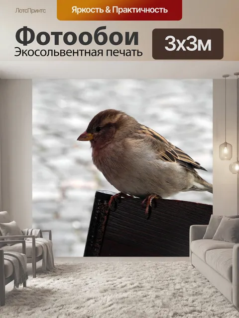 Фотообои Птицы