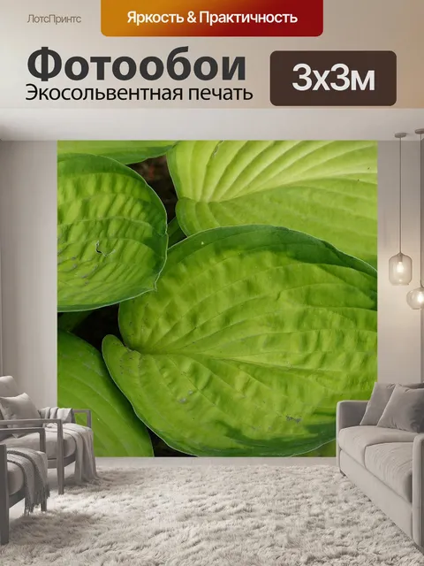 Фотообои Листья