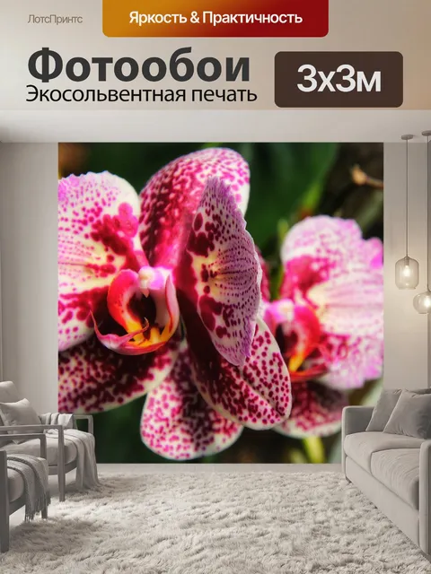 Фотообои Орхидеи