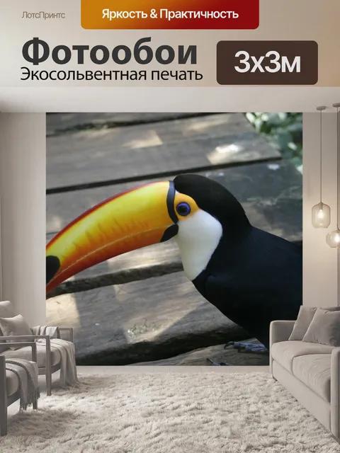 Фотообои Тукан