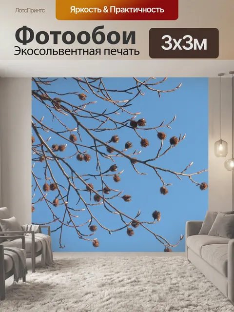 Фотообои Стручки семян