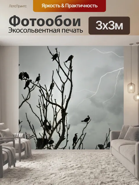 Фотообои Освежающие птицы