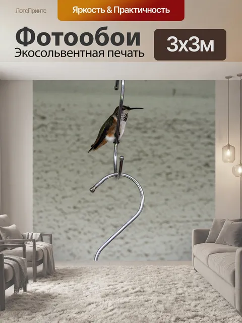 Фотообои Колибри