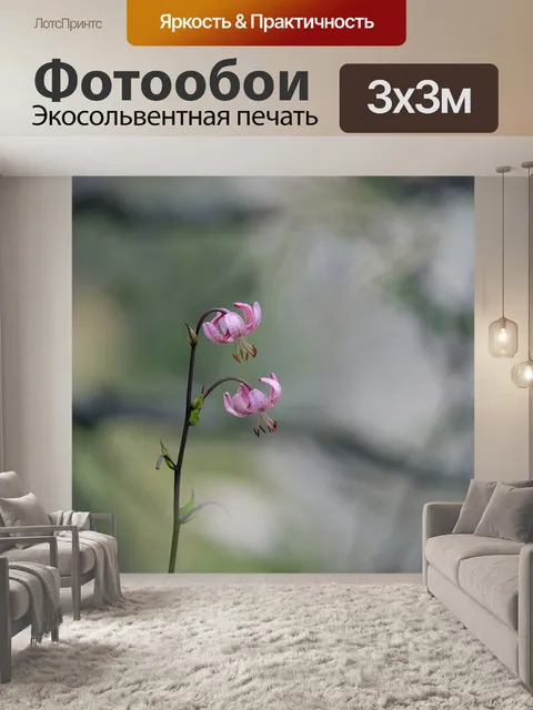 Фотообои Цветы