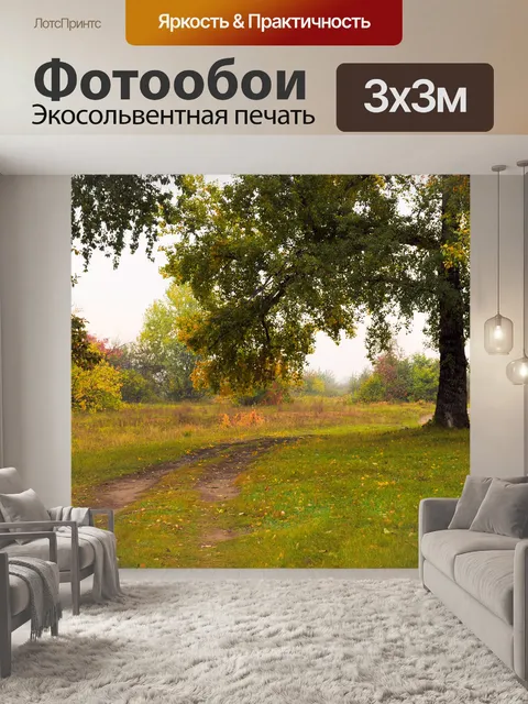 Фотообои Путь в лесу