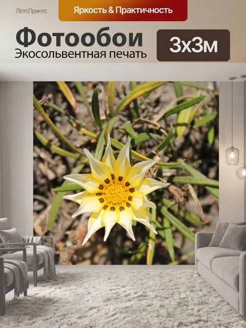 Фотообои Цветы