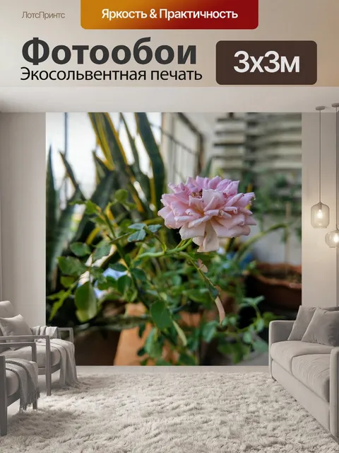 Фотообои Балкон