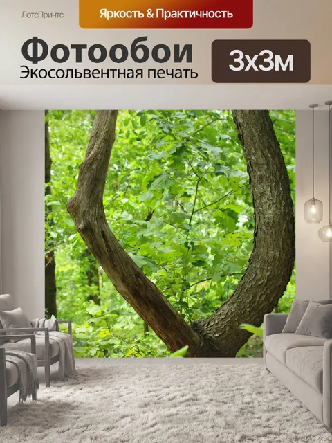 Фотообои U образный дерева