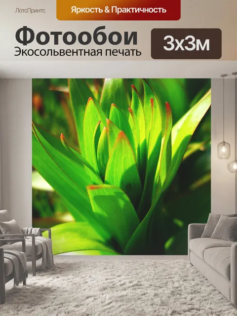 Фотообои Жук