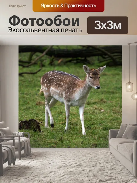 Фотообои Олень