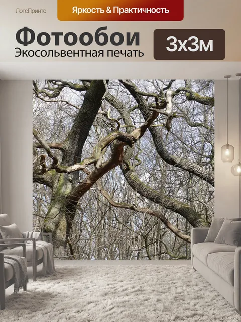 Фотообои Лес