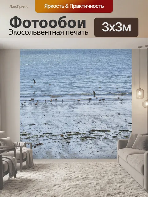 Фотообои Чайки на пляже