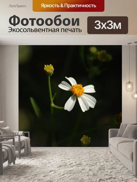 Фотообои Цветы