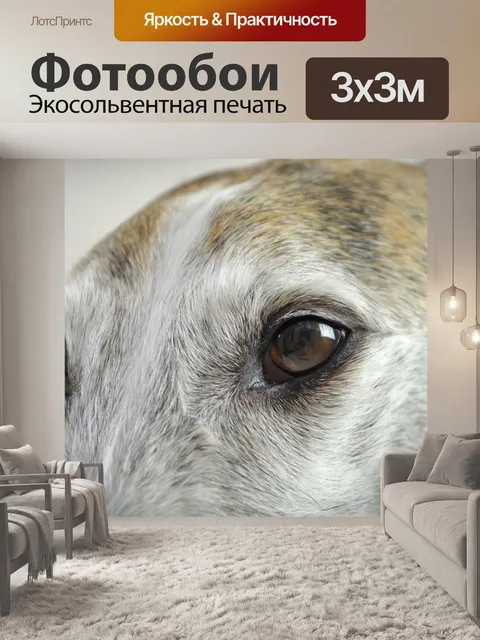 Фотообои Собака