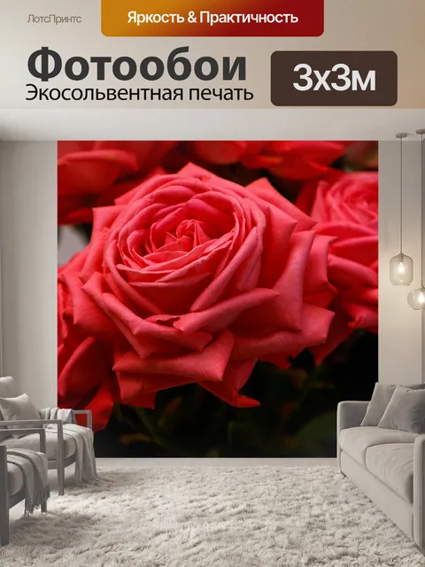 Фотообои Розы