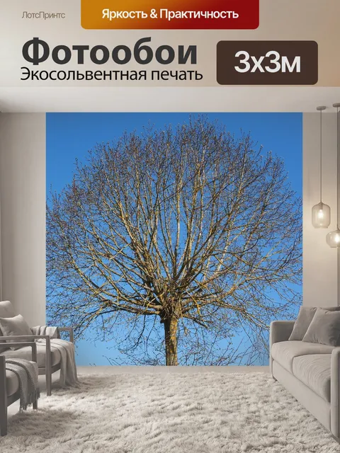 Фотообои Дерево