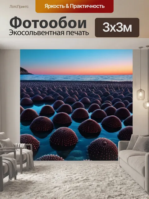 Фотообои закат над морем с морскими ежами на поверхности