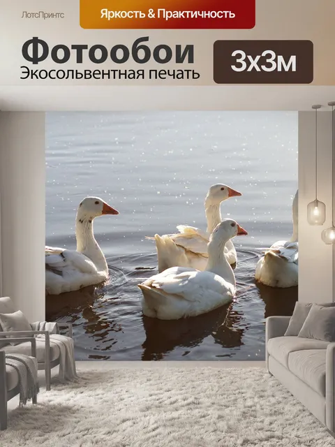 Фотообои Гуси