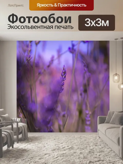 Фотообои Цветок лаванды