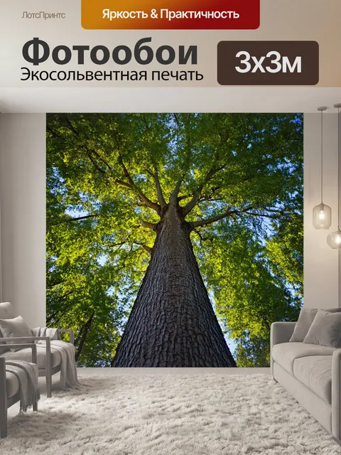 Фотообои прямое дерево с сильно выраженными кольцами на стволе, визуально рассказывает возраст и историю