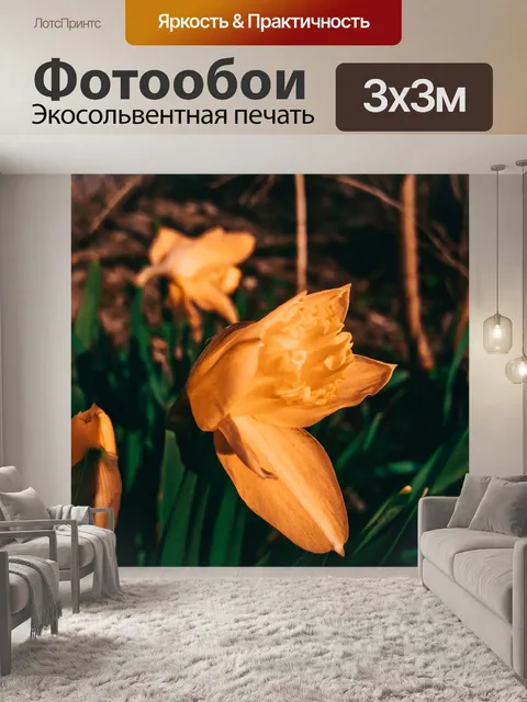 Фотообои Цветы