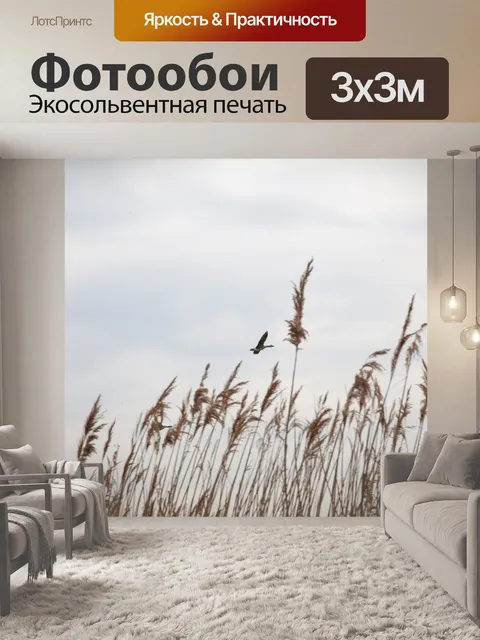 Фотообои Гусь