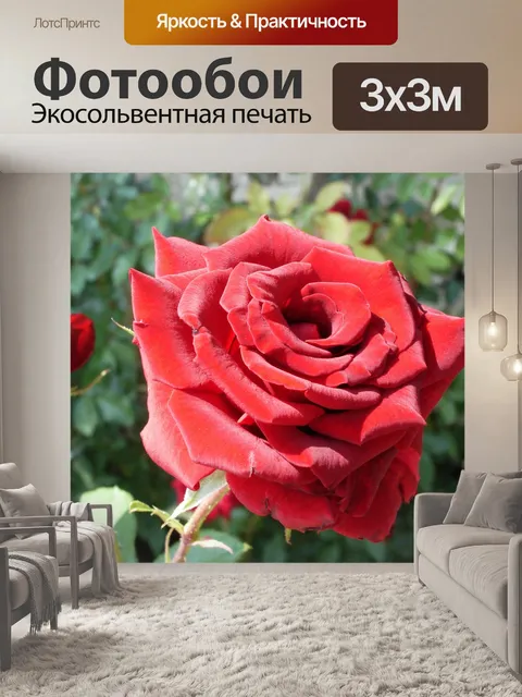 Фотообои Цветок