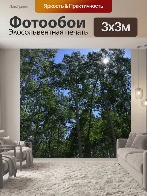 Фотообои Деревья