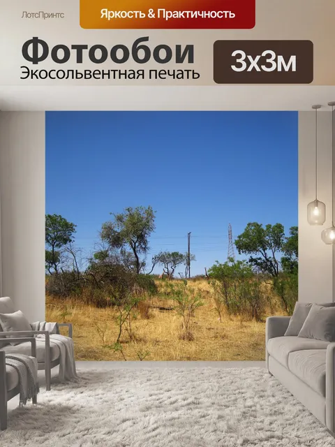 Фотообои Три жирафа на расстоянии