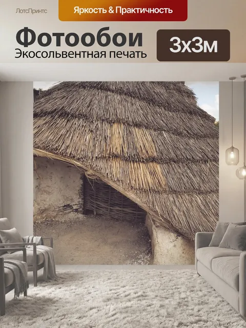 Фотообои Дом неолита