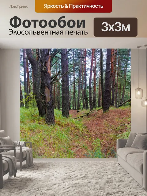 Фотообои Лес