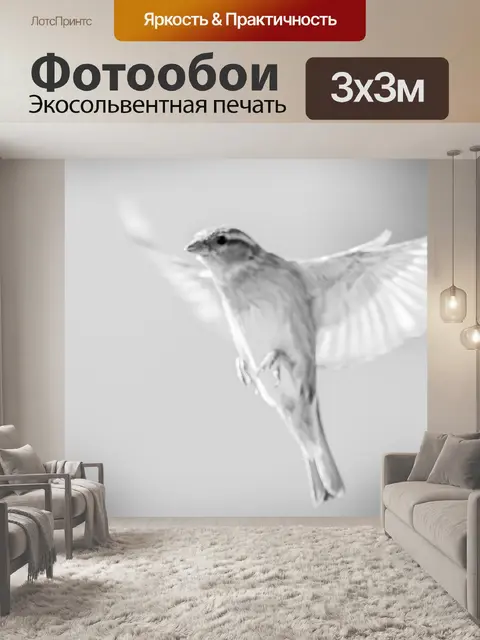 Фотообои Птица