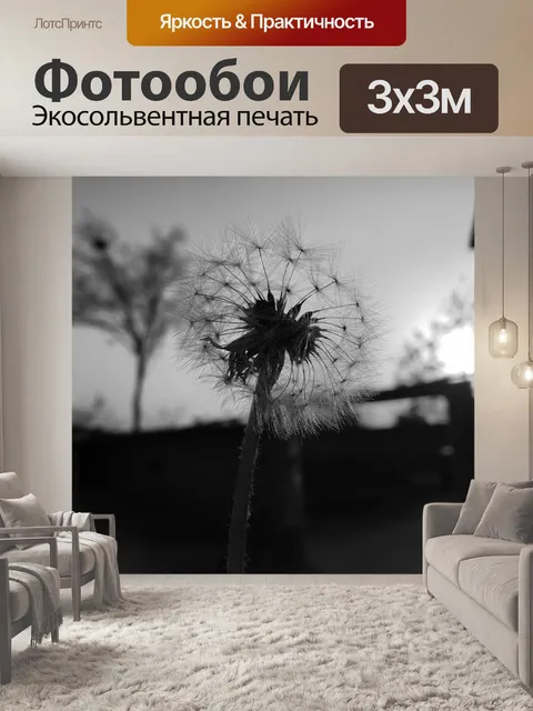 Фотообои Одуванчик