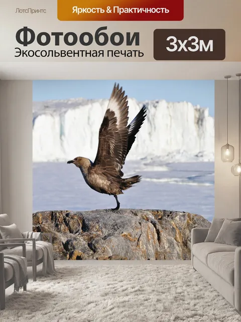 Фотообои Птица