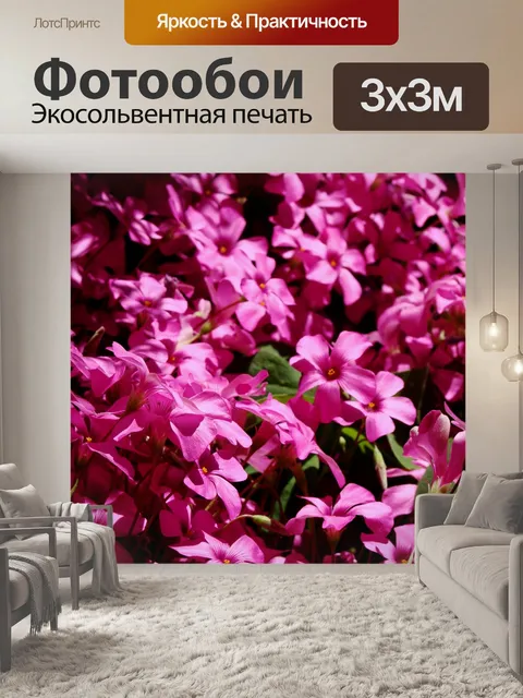 Фотообои Фуксия