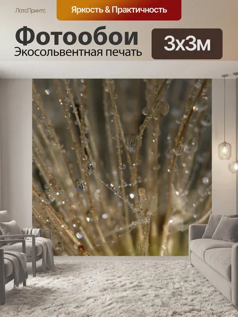 Фотообои Одуванчик