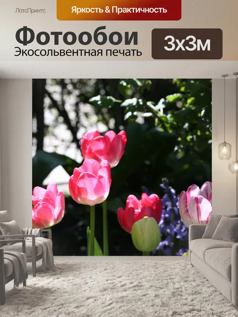 Фотообои Тюльпаны