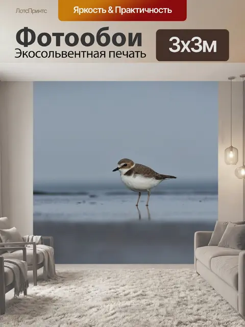 Фотообои Животное
