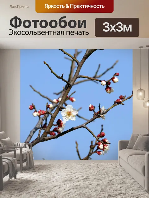 Фотообои Цветение сливы