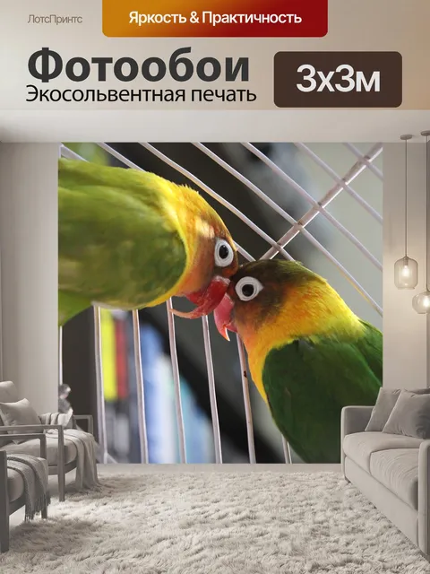 Фотообои Птица