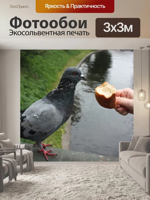 Фотообои Птица