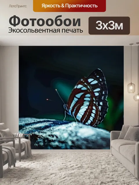 Фотообои Бабочка