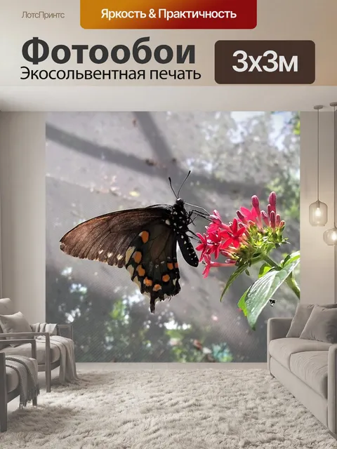 Фотообои Бабочка