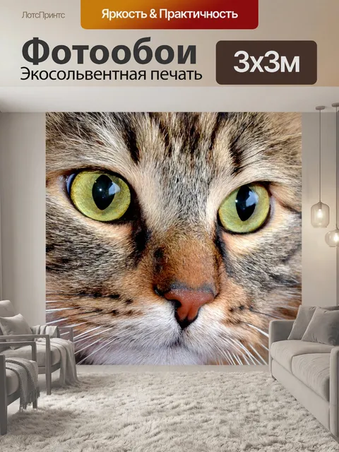 Фотообои Кошка