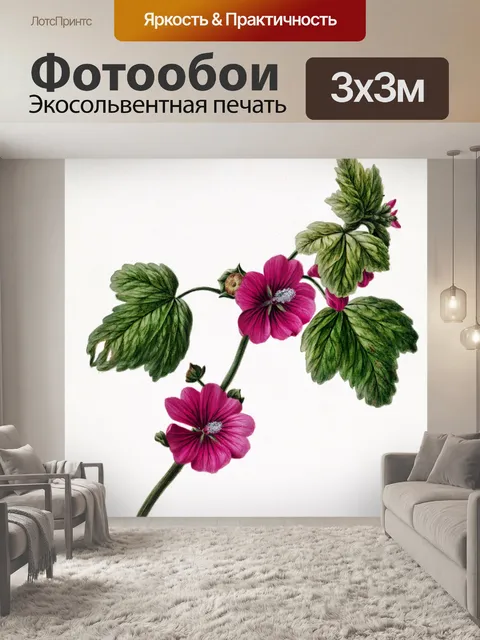 Фотообои Цветочный цветок старинное искусство