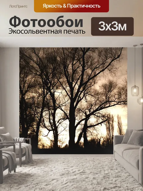 Фотообои Деревья