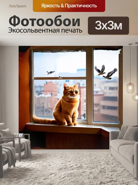Фотообои рыжий кот, сидящий на подоконнике в старинной квартире, любовно наблюдает за пролетающими птицами
