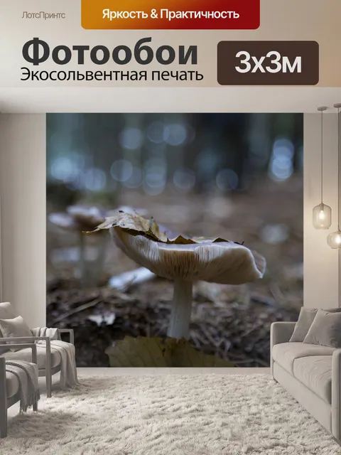 Фотообои грибы