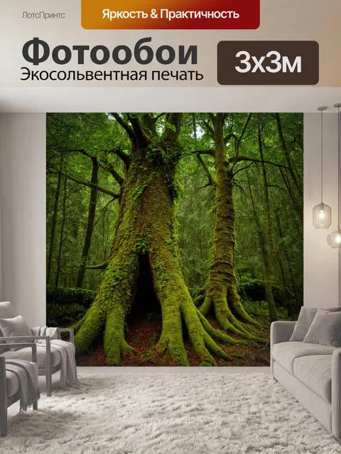 Фотообои лес с древними деревьями, стволы которых обвиты мхом и лианами