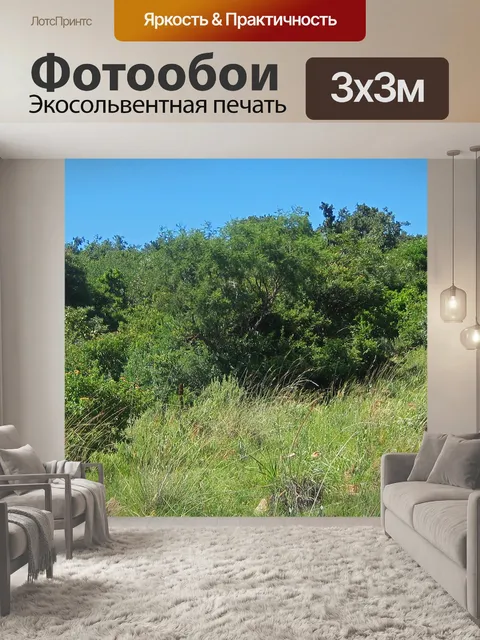 Фотообои Луга и деревья